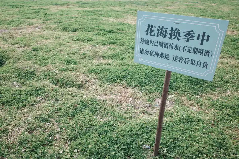 辽宁旅游住宿行业技术趋势：兴城酒店智慧服务体系构建要点