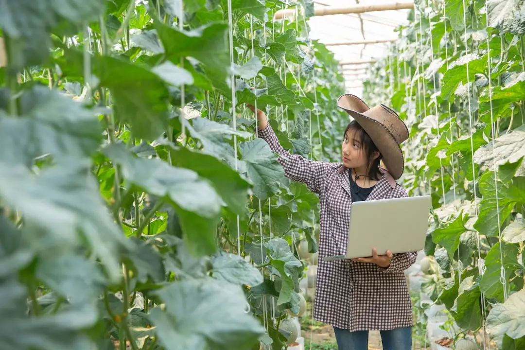 兴城商务接待住宿服务标准化流程与质量管控要点