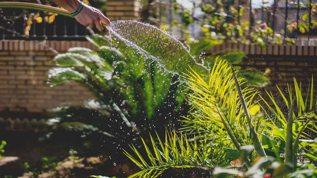 兴城商务接待服务标准化流程设计与实施要点